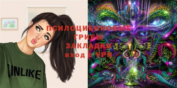 метамфетамин Алексеевка